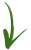 green-right
